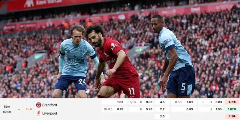 Soi kèo chi tiết dành cho trận đấu giữa Brentford vs Liverpool